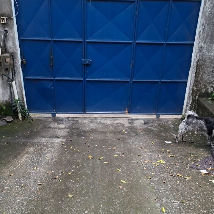 WhatsApp Image 2026-09-17 at 14.06.36 (2)